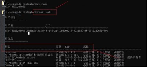 網絡安全工程師深度解析 黑客如何進行內網計算機攻防與系統集成的對抗